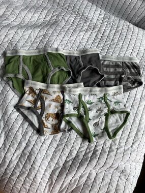 Burt’s Bees Kids - 100% organic cotton boys briefs / underwear